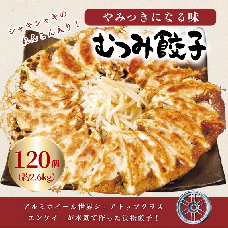  浜松餃子 むつみ餃子120個入り(30個入り×4P)　冷凍便 レンコンたっぷり タレ、辛子付 むつみ屋 産地直送 惣菜 加工品 餃子 ぎょうざ ギョーザ 【配送不可：離島】