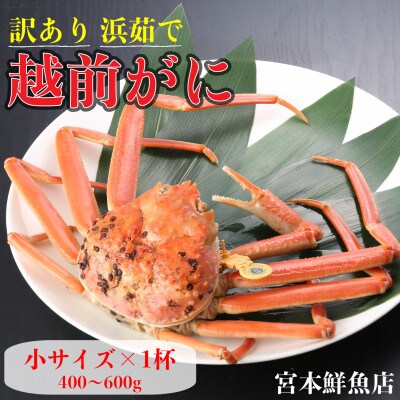 【2025年12月より順次発送】【訳あり】《浜茹で》越前がに　小サイズ×1杯【配送不可地域：離島・北海道・沖縄】【1611468】