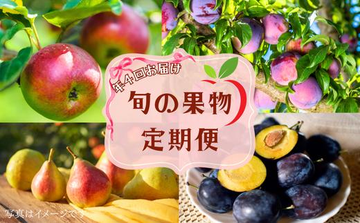 
                  【先行受付】４カ月箱いっぱいにお届け！佐久穂町で育った旬のフルーツ定期便（８月～１１月）〔AK-T501〕
                