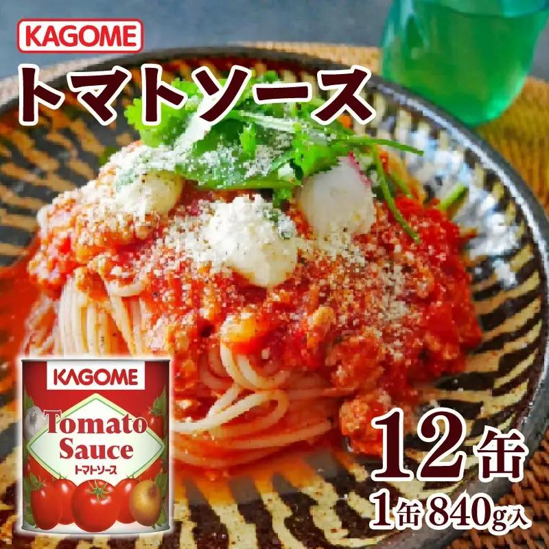トマトソース 12個 トマト缶 レトルト レトルト レトルト レトルト レトルト レトルト maruyama003