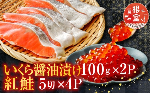 
                  C-76006 いくら醤油漬け100g×2P、紅鮭切身5切×4P
                