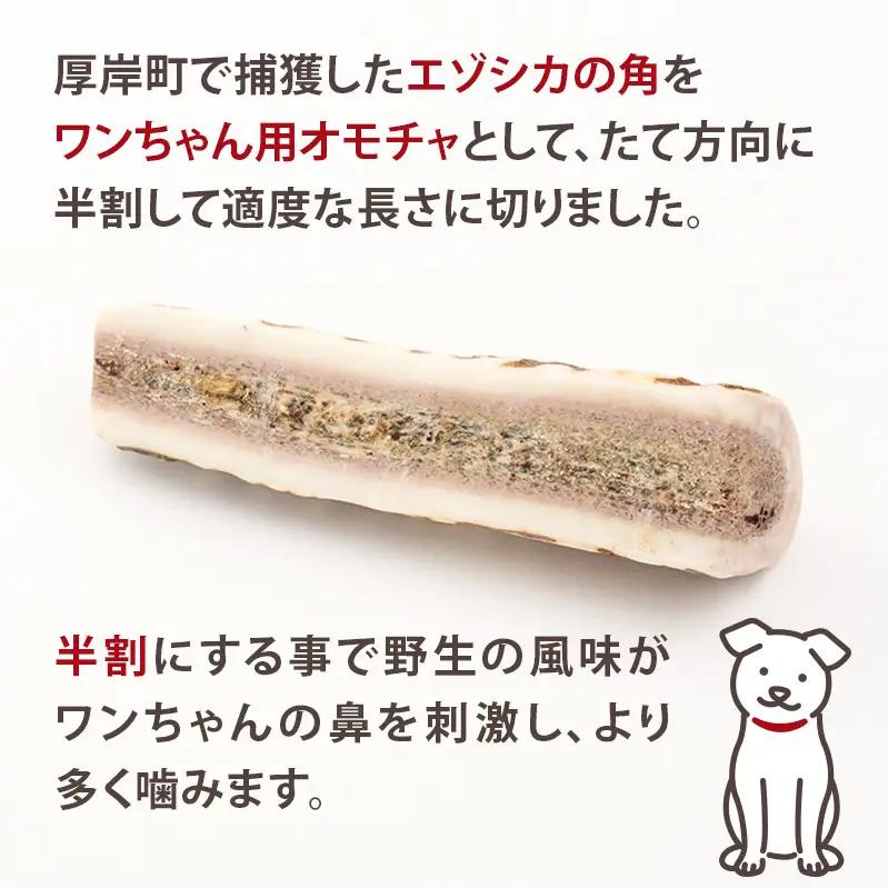厚岸町産 わんちゃん用 エゾ鹿の角 半割1本 10cm 小型犬用 【deer food】[犬 おもちゃ 犬用ガム ペット用品 鹿角 長持ち デンタルケア ペット ]