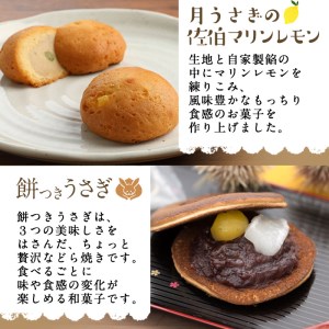 佐伯地産セット 小(合計10個・5種) スイーツ スウィーツ 菓子 焼き菓子 和菓子 洋菓子 おやつ 詰め合わせ セット 個装 大分県 佐伯市【ER031】【(株)古川製菓】