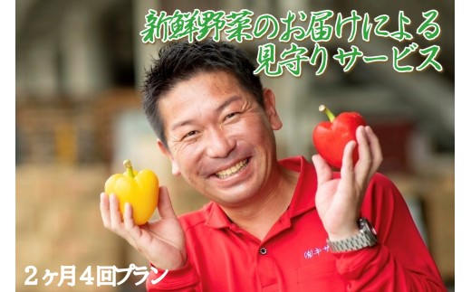 お野菜イメージ