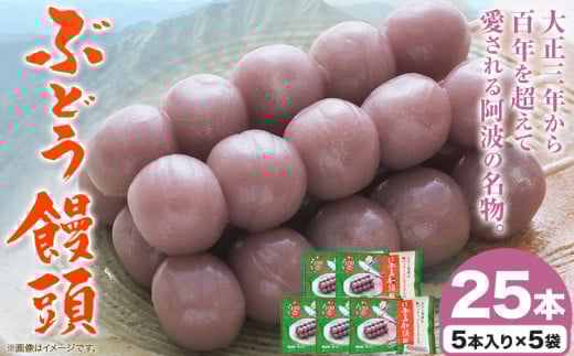 ぶどう饅頭 25本 (5本入り5袋) 《30日以内に出荷予定(土日祝除く)》有限会社日乃出本店 徳島県 阿波 ブドウ 饅頭 飴 ミルク 自家製あん 老舗 和菓子 剣山 穴吹川 贈り物 衛生的 個包装 環境保護 品質保持 st-p
