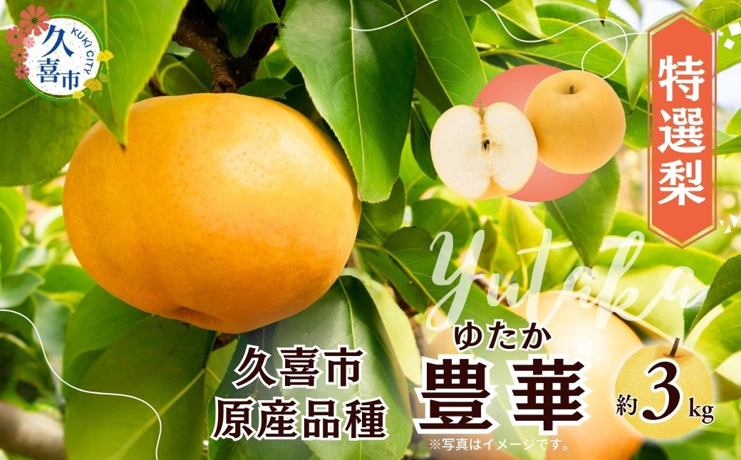
            【先行予約 数量限定】梨 豊華 約3kg 6玉 | 先行予約 宮野梨園 梨 フルーツ 高級 産地直送 限定品 贈り物 新鮮 お取り寄せ デザート ギフト 風味豊か 赤梨 大玉 香り 上品 希少価値 珍しい 地域 甘い 限定 果物 果樹 幸水 梨 なし 果物 フルーツ 埼玉県 久喜市 菖蒲 和梨
          