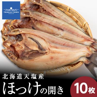 ふるさと納税 天塩町 ☆脂乗り抜群!天塩産ほっけの開き10枚セット