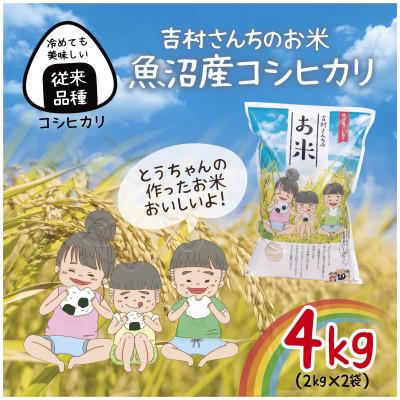 ふるさと納税 十日町市 令和7年産 新米 |従来品種| 魚沼産 コシヒカリ 精米 2kg×2袋 計4kg 吉村さんちのお米