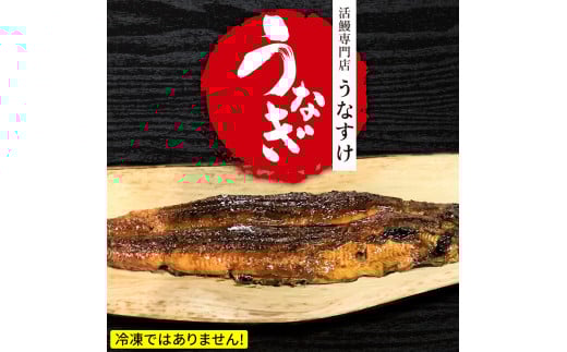 国産うなぎ蒲焼き (1匹) [0846]
