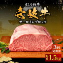 【ふるさと納税】【全3回定期便】壱岐牛 サーロイン ブロック 1.5kg 《壱岐市》【中津留】[JFS024] 冷凍配送 黒毛和牛 A5ランク サーロイン ステーキ 焼肉 BBQ 牛肉 肉 サーロインステーキ 赤身 焼き肉 ブロック肉 ブロック 定期便 291000 291000円 焼肉用