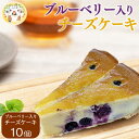 【ふるさと納税】パン工房ツインズ ブルーベリー入り 濃厚 チーズケーキ 10個　 　お届け時期：入金確認後20日前後