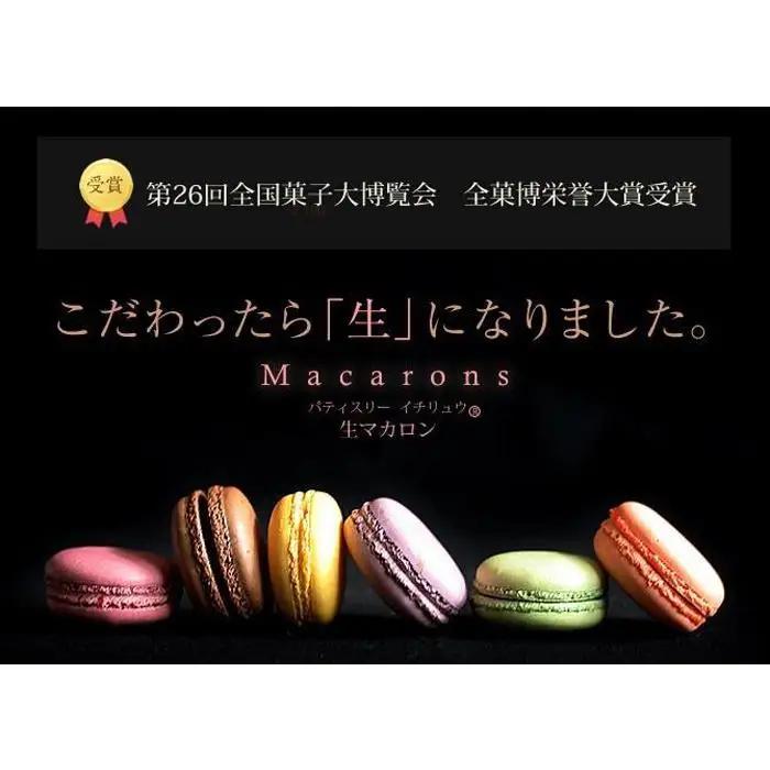 生マカロン 10個 2箱 計20個 セット 詰め合わせ 第26回全国菓子大博覧会 栄誉大賞受賞 マカロン パティスリーイチリュウ 洋菓子 お菓子 菓子 おやつ デザート スイーツ ギフト 手土産 個包
