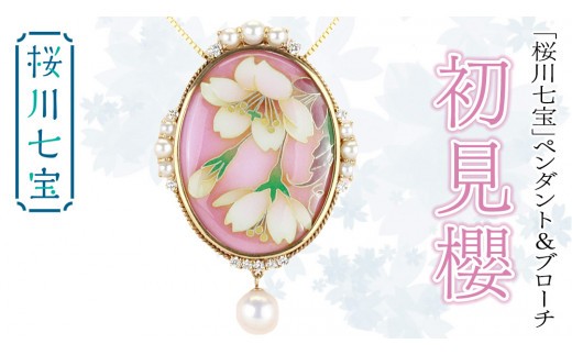 
                  「 桜川 七宝 」 初見櫻 ペンダント ＆ ブローチ (45mm×30ｍｍ) ／ 母の日 プレゼント ジュエリー 作家 伝統工芸 森千鶴子 記念 ギフト 贈り物 贈答 [AH130sa]
                