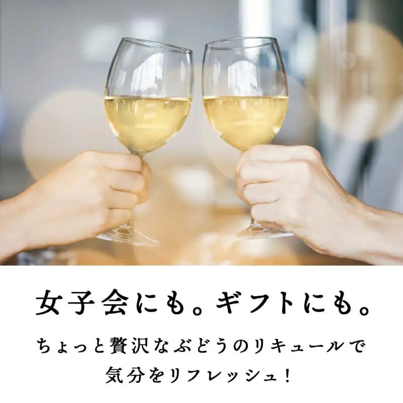 【定期便12ヵ月】ぶどうリキュール2本【品種おまかせ】〈余市リキュールファクトリー〉_Y020-0620