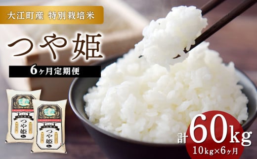 《6ヶ月定期便》【令和6年産米】新米 大江町産 つや姫 10kg(5kg×2袋)×6ヶ月(計60kg)【山形県産 特別栽培米】【2024年産米】【001-T20】