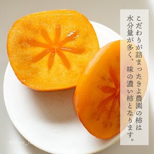 先行受付　柿(種無し)　赤秀品大玉　6個入　約1.8kg【配送不可地域：離島】【1616656】