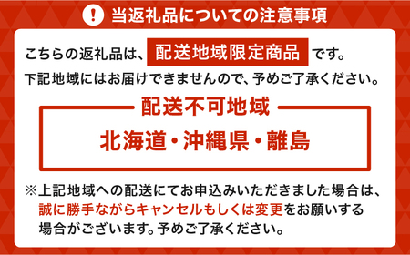 いちご  先行予約 【2026年1月発送】季節限定！ 新鮮朝摘みいちご「さがほのか」約1.5kg （250g×6パック）