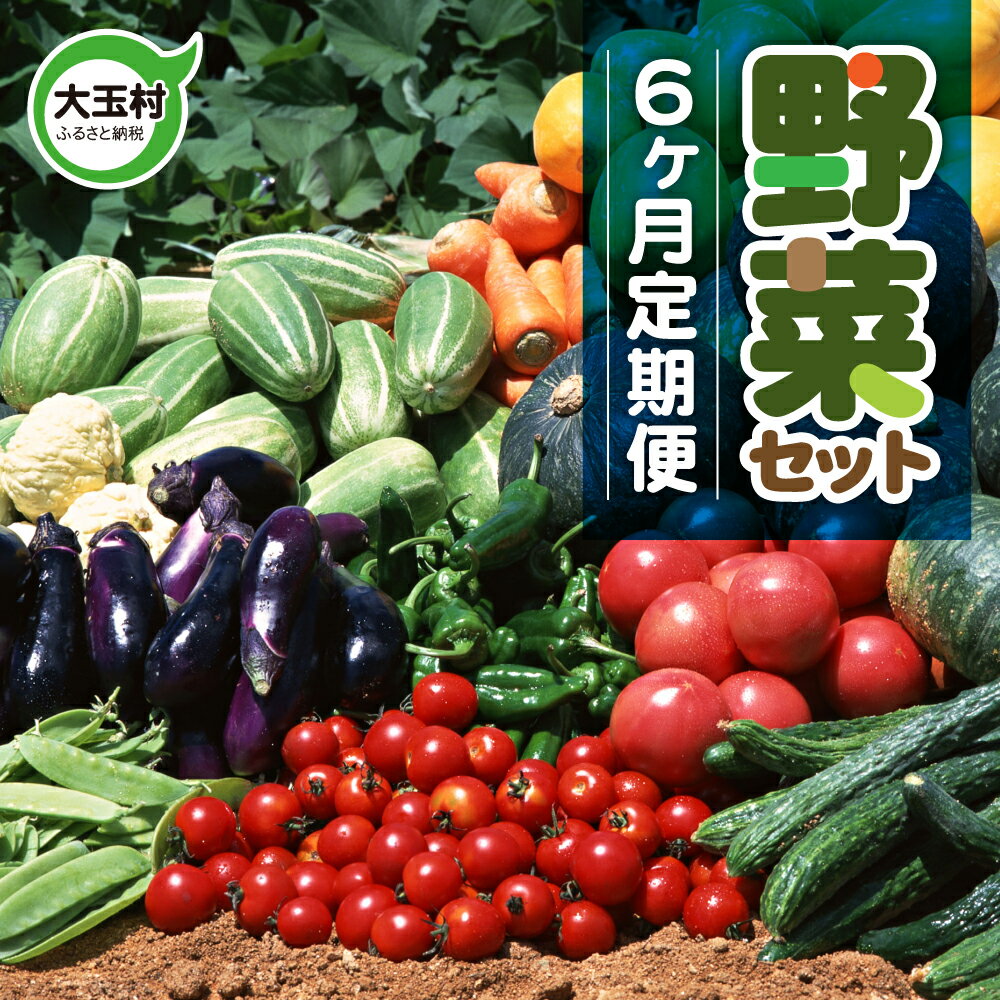 【ふるさと納税】野菜セット 6回 定期便 ( 10種類前後 ) お試し 旬 野菜セット 6ヶ月 採れたて 新鮮 おまかせ 詰め合わせ 産地直送 SDGs 炒め物 サラダ グリル 煮物 スープ 鍋 送料無料 福島県大玉村 01108