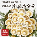 【ふるさと納税】ホタテ 宮城県産 大粒 片貝ホタテ 25枚 冷凍 加熱用 下処理済み 小分け 殻付きほたて 殻付きホタテ 帆立 ほたて バーベキュー BBQ おつまみ 送料無料 浜焼き 海鮮 新鮮 帆立貝 貝柱 宮城県 石巻市 カネキ水産