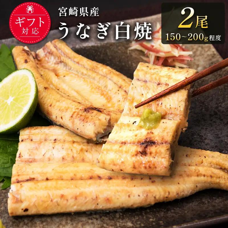 【2週間以内発送】うなぎ 白焼き 2尾 計300g以上 鰻 化粧箱入り 蒲焼たれ付 C427