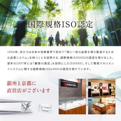 ふるさと納税 京都市 【京セラ】クレサンベール〈エメラルド〉ネックレス |  | 03