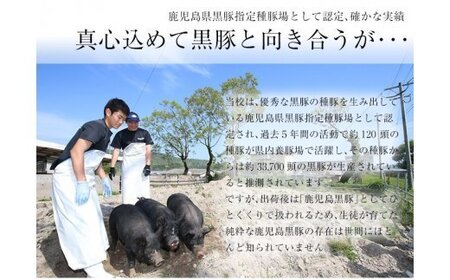 レンジでチン！金の桜黒豚 6食分「黒豚丼（180g×6袋）」【00-057-30】
