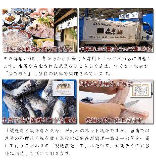 (250001)とらふぐ　刺身　定期便　 コース　小分け　1人前【隔月10皿（10人前）×6ヶ月】