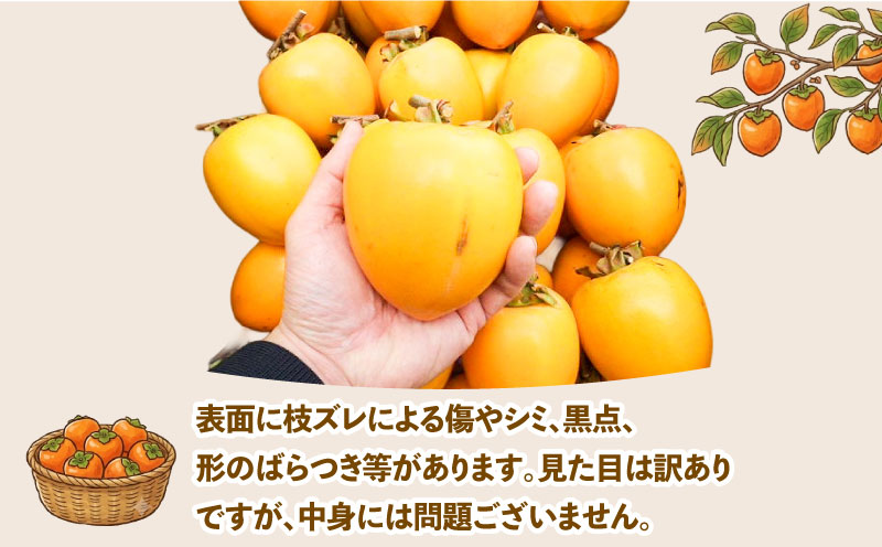 訳あり 渋柿 愛宕柿 約 10kg スーパー山田屋 先行予約 不揃い kaki かき あたごがき カキ フルーツ 果物 くだもの 訳アリ 訳有り わけあり ご家庭用 規格外 秋の味覚 新鮮 旬 産地直