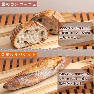 a986 パンの詰め合わせ(4種・合計5個)【Bakery Panto】パン 冷凍パン 食パン クロワッサン 栗 カンパーニュ バケット 冷凍 セット