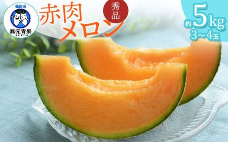 【令和8年産先行予約】 庄内砂丘赤肉メロン 秀品 大玉 約5kg (3～4玉) 山形県鶴岡市産　株式会社 元青果