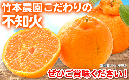 ＜先行予約＞秀品不知火（デコポンと同品種）12玉～24玉 約 4kg～5kg《2026年3月中旬-5月上旬頃出荷》竹本農園 和歌山県 日高川町 旬 新鮮 果物 柑橘 フルーツ 国産 デコポン でこぽん