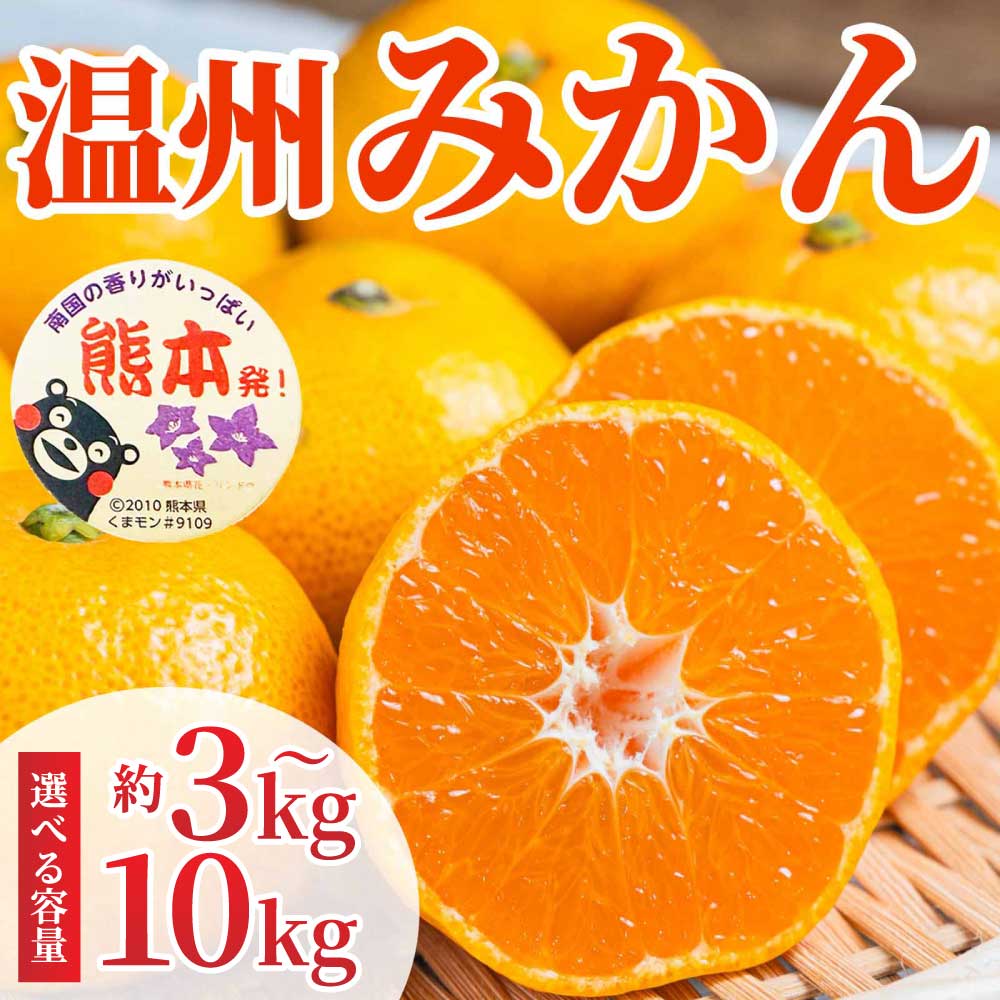 【ふるさと納税】 先行予約 温州みかん 選べる容量 約3kg 約5kg 約10kg（2S～2L）【2026年10月上旬～2027年2月下旬発送予定】ミカン フルーツ 果物 柑橘 かんきつ 蜜柑 うんしゅうみかん 熊本県 九州 宇城市 国産 高糖度 甘い ジューシー 日本フルーツ