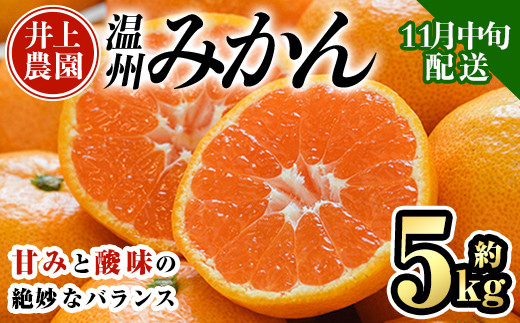 ＜先行予約受付中！11月中旬より順次発送予定＞数量限定 大分県宇佐市産 温州みかん(約5kg)みかん ミカン 蜜柑 柑橘 フルーツ 果物 くだもの 果実 国産【103610200】【井上農園】