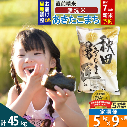 【無洗米】＜令和7年産 新米予約＞《定期便9ヶ月》秋田県産 あきたこまち 5kg (5kg×1袋) ×9回 5キロ お米  新米