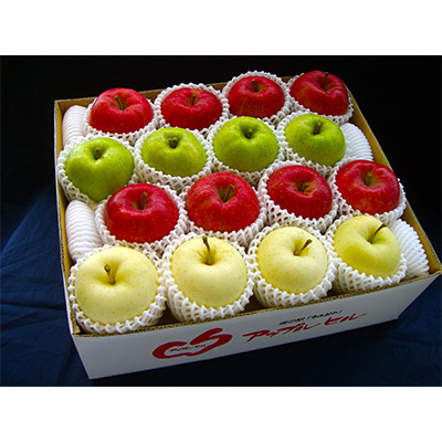 
            2023年1月発送開始『定期便』青森の旬のりんご[1～3種混合] 家庭用 約5kg 全3回【5091044】
          