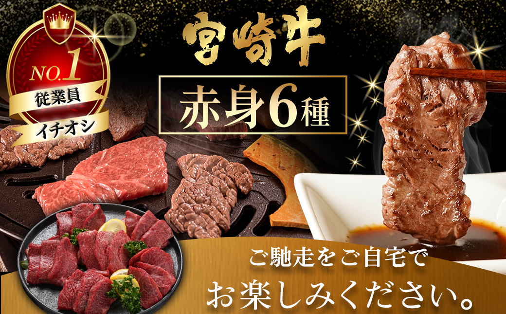 【年内お届け】宮崎牛赤身6種600g≪2025年12月15日～31日お届け≫_16-2601-HNY_【肉 牛肉 焼き肉 焼肉 人気 おすすめ 国産 宮崎県産】