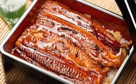 【4回定期便】「土佐の海 川 山」 鰹たたき うなぎ蒲焼き あかうしセット かつお 鰹 藁焼き カツオ 鰻 うなぎ 赤牛 あか牛 牛肉 【株式会社Dorago】[ATAM039]