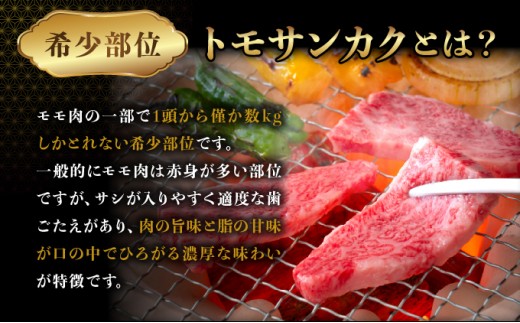 佐賀牛トモサンカク焼肉【04bh-0023】