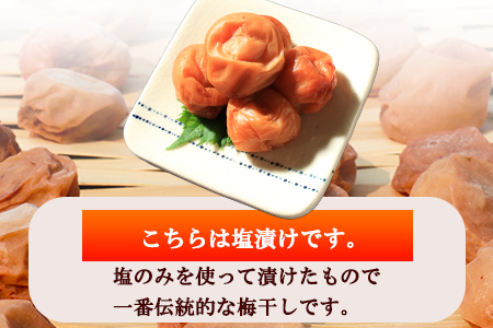 うめぼし 800g（塩）《30日以内に出荷予定(土日祝除く)》熊本県 葦北郡 津奈木町 梅 梅干し 天日干し みのり農園
