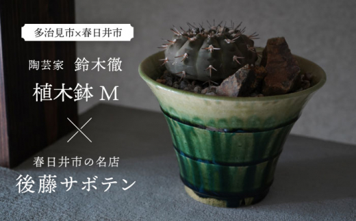 
多治見市×春日井市コラボ 【美濃焼】 陶芸家「鈴木徹」 植木鉢 M × 【日本有数のサボテンの生産地】 春日井市の名店 後藤サボテン 【井澤コーポレーション】 [TBP179]
