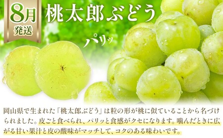 【2026年発送】【定期便】岡山のぶどう　3種食べ比べ 約700g以上×3回発送（令和8年8月中旬～10月中旬頃発送）【岡山県産　ぶどう　葡萄　3種　約700g（1房）フルーツ 果物 くだもの 桃太郎