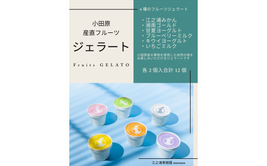 【定期便（2カ月ごと全3回）】小田原産江之浦ジェラート６種（みかん、湘南ゴールド、ブルーベリーミルク、いちごミルク、キウイヨーグルト、甘夏ヨーグルト）120mlカップ各２個合計１２個 142069_GJ090