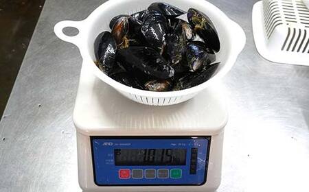 三陸山田産 活ムール貝 1kg ムール貝
