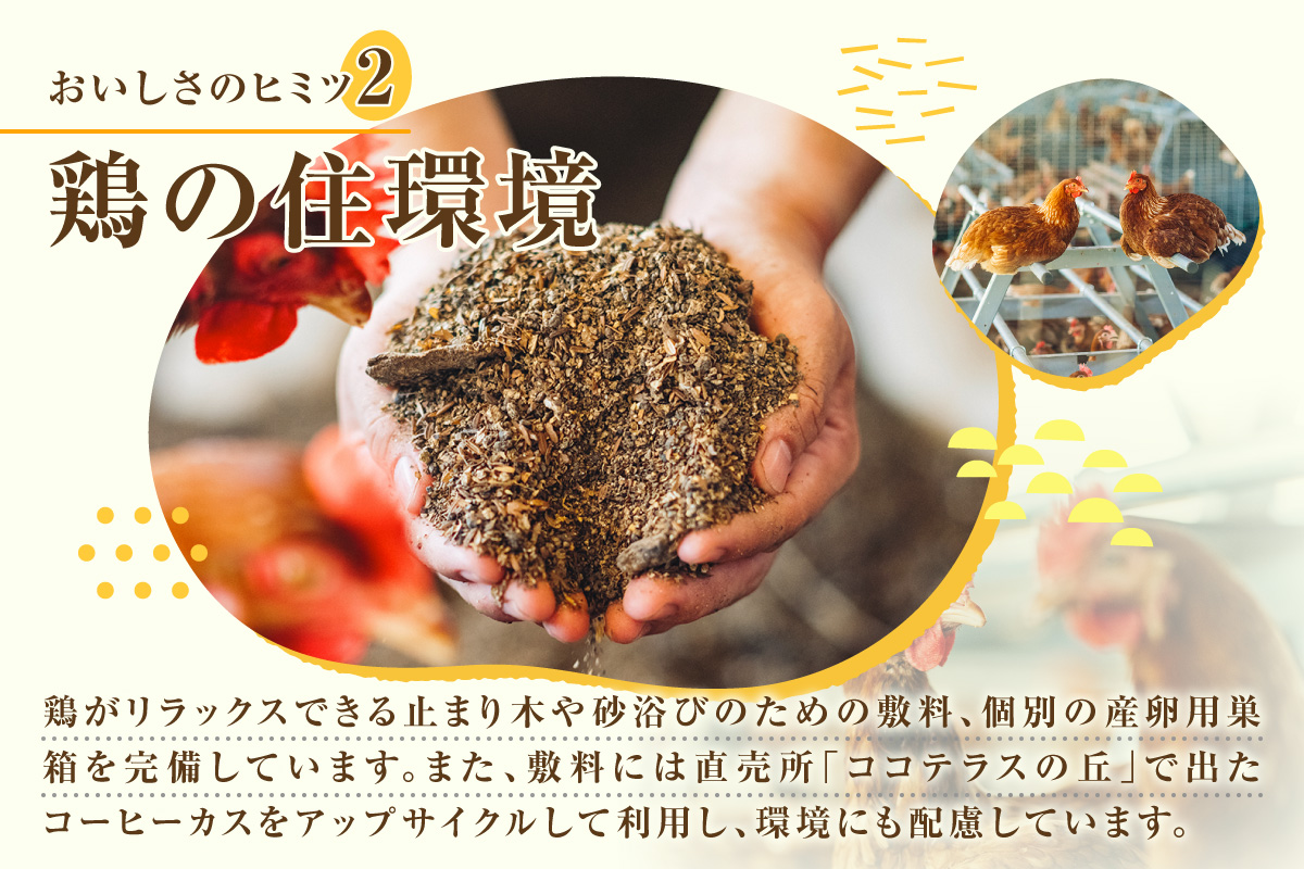 【3か月定期便】放し飼い米たまご35個+5個保証（計40個）