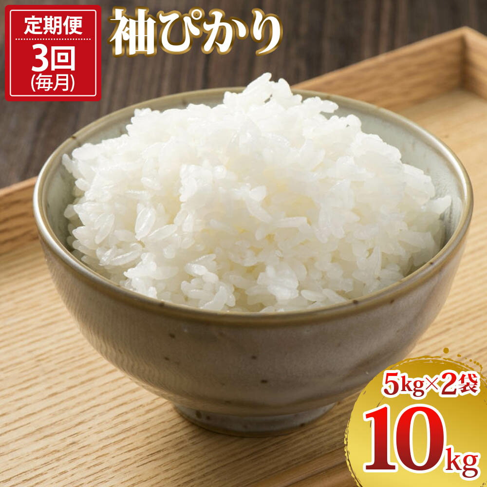 【ふるさと納税】[定期便／3ヶ月 令和7年産] 袖ぴかり 計30kg (5kg×2×3回)｜米 おこめ こしひかり コシヒカリ 直送 推奨米 袖ケ浦 千葉 [0640r]