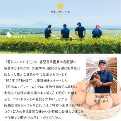 【発送月固定定期便】菊ちゃんのたまご(特級卵)(4・5・6月コース)全3回【配送不可地域：離島】