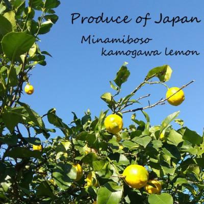 ふるさと納税 鴨川市 LimOce『オールインワンクリーム』150g×3本 [SF0030-0115] |  | 01