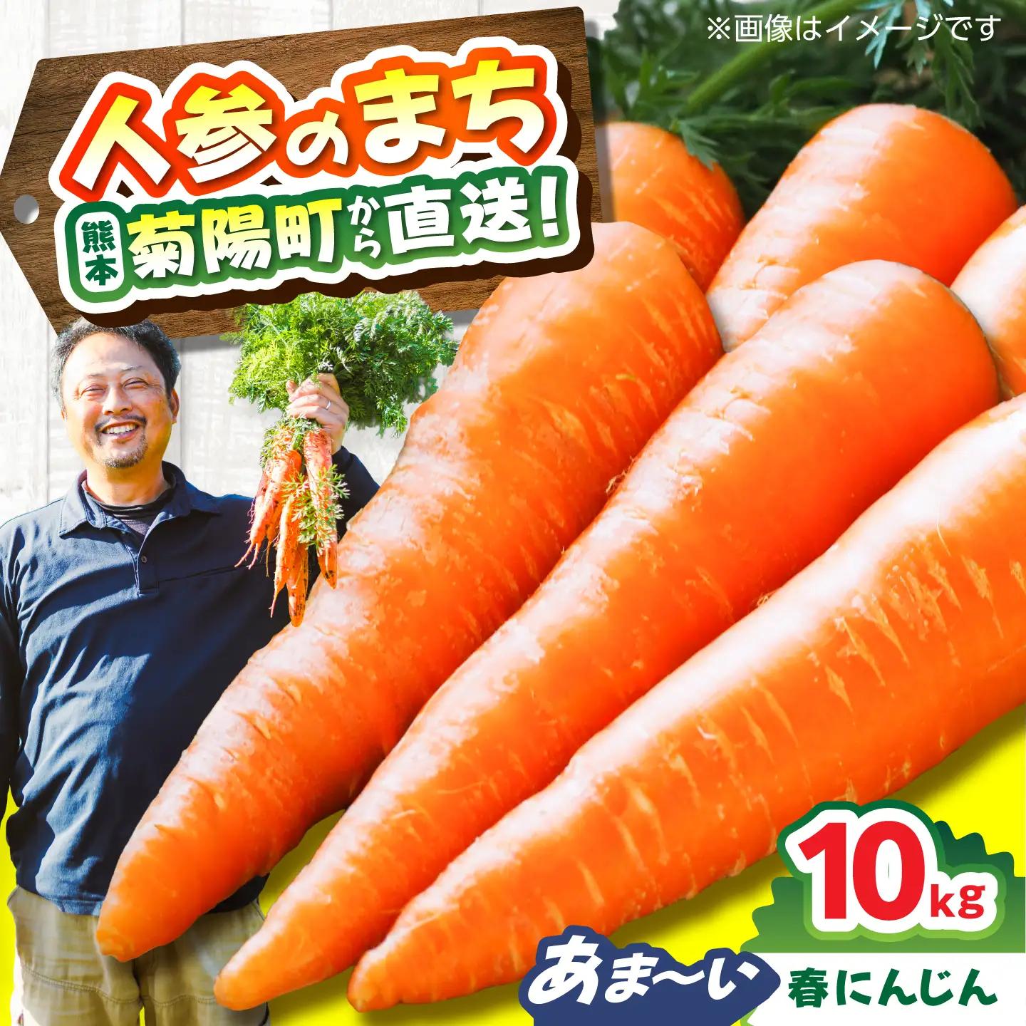 菊陽春にんじん 10kg にんじん BHDH003