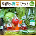 【ふるさと納税】季節の 野菜 セット 16品目 ベジタブル 詰め合わせ 新鮮 国産 九州産 熊本県産 送料無料