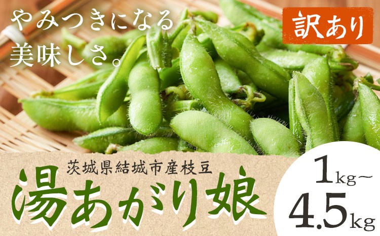 
            【訳あり】 茨城県結城市産枝豆「湯あがり娘」1kg 3kg 4.5kg （茶豆味）　有限会社大嶋農園 《7月中旬-8月上旬頃出荷》 野菜 国産 甘み 香り 濃厚 つまみ ビールのおつまみ ビールのつまみ 【配送不可地域あり】
          